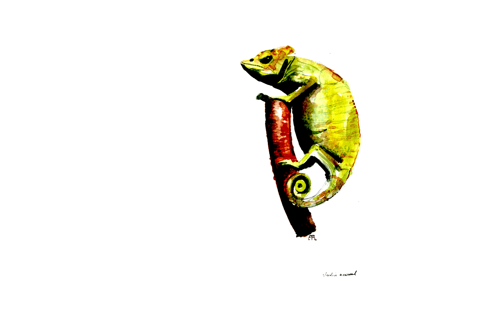 Gravură