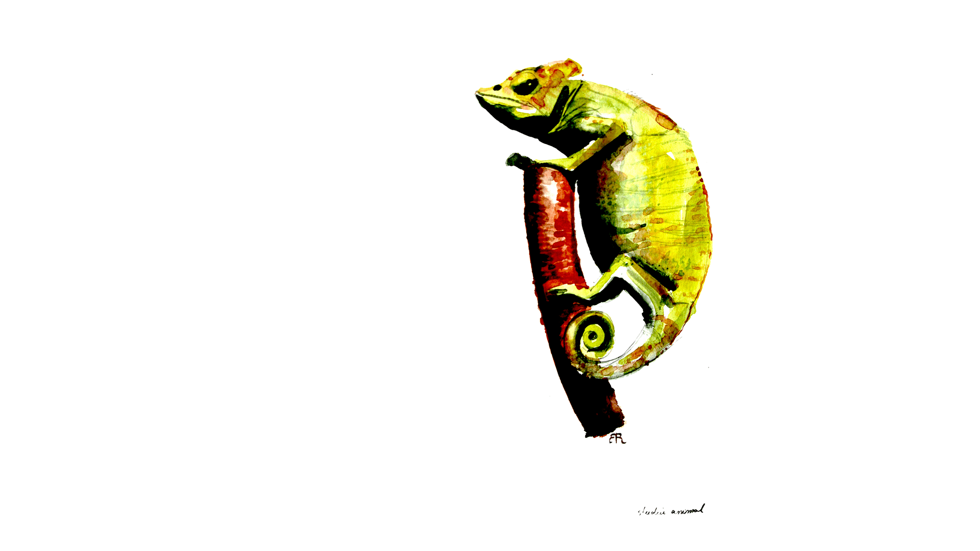 Gravură